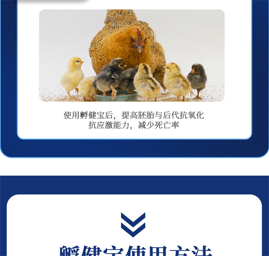 BSPORTSһ˶ӼƷ