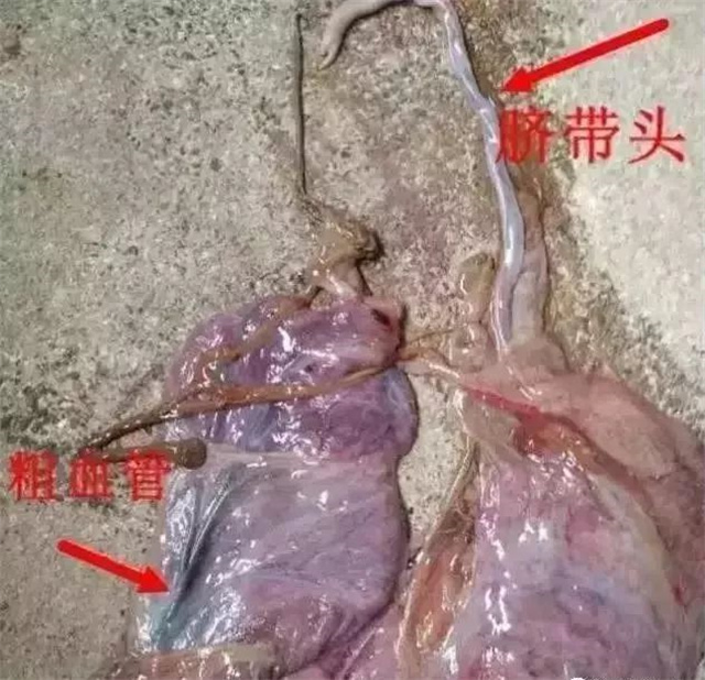 жĸǷ1ͷ