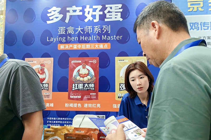 ̳BSPORTSһ˶ݴʦϵܹע