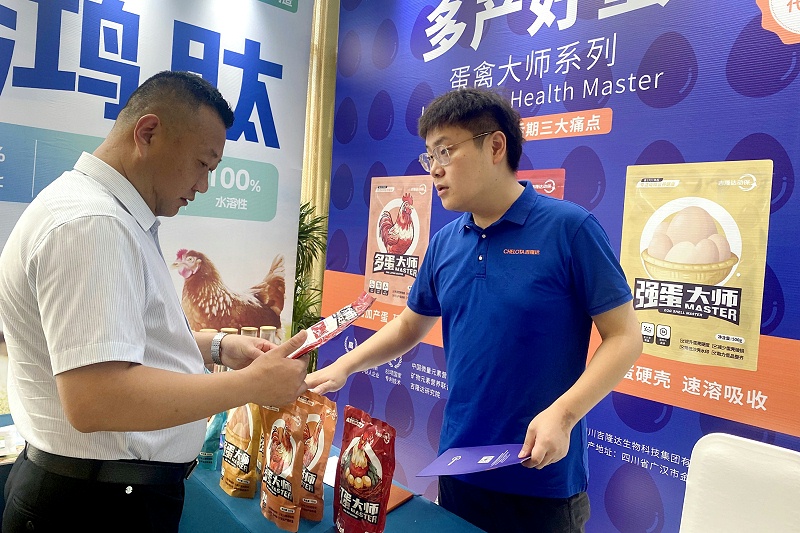 ̳BSPORTSһ˶ݴʦϵܹע