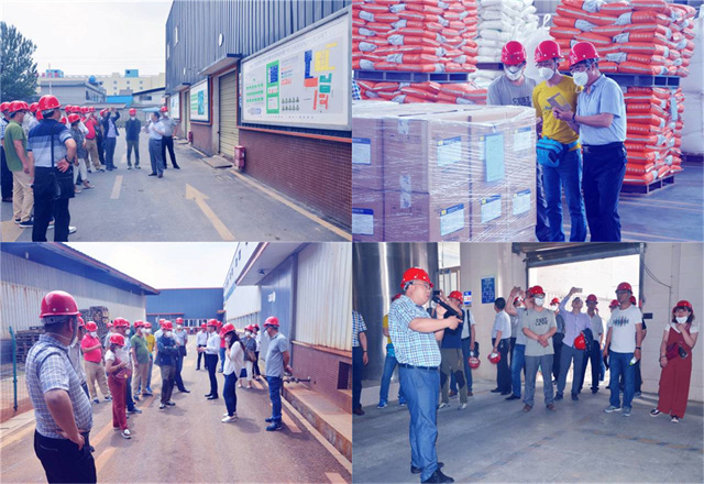 BSPORTSһ˶΢ԪؼЧɳ