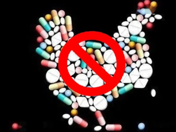 ϲǲΰ룻Żƽ