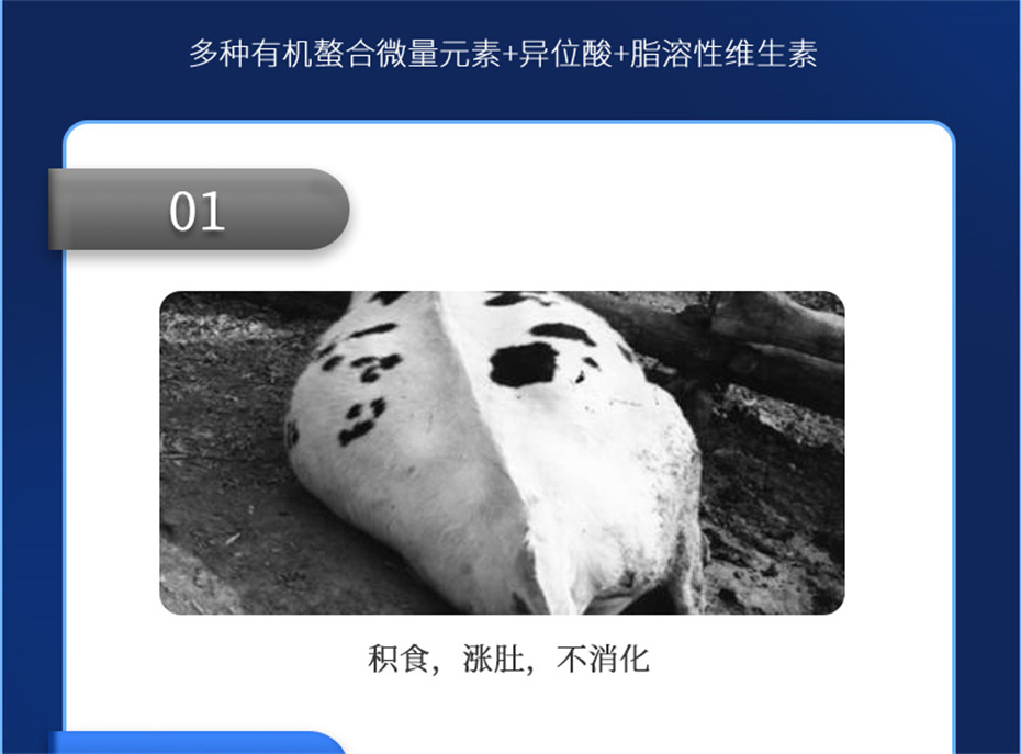 BSPORTSһ˶ţӼţ׳챦Ʒ