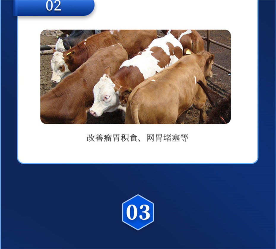 BSPORTSһ˶ţӼţ׳챦Ʒ