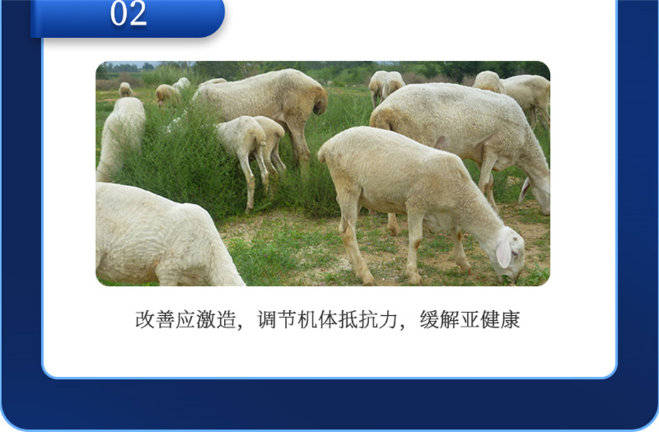 BSPORTSһ˶ţӼţ׳챦Ʒ