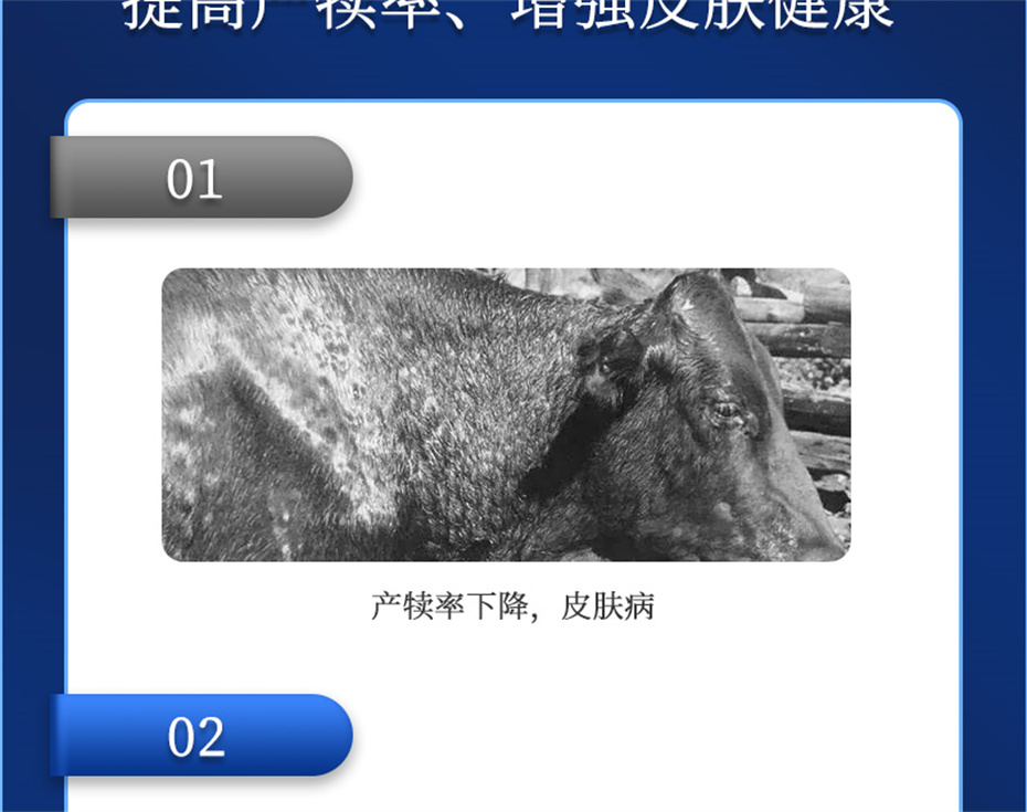 BSPORTSһ˶ţӼѪţƷ