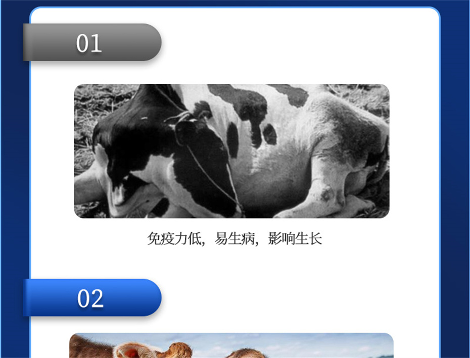 BSPORTSһ˶ţӼѪţƷ