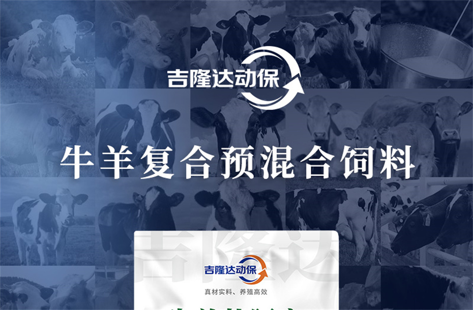 BSPORTSһ˶ţӼţ׳챦Ʒ