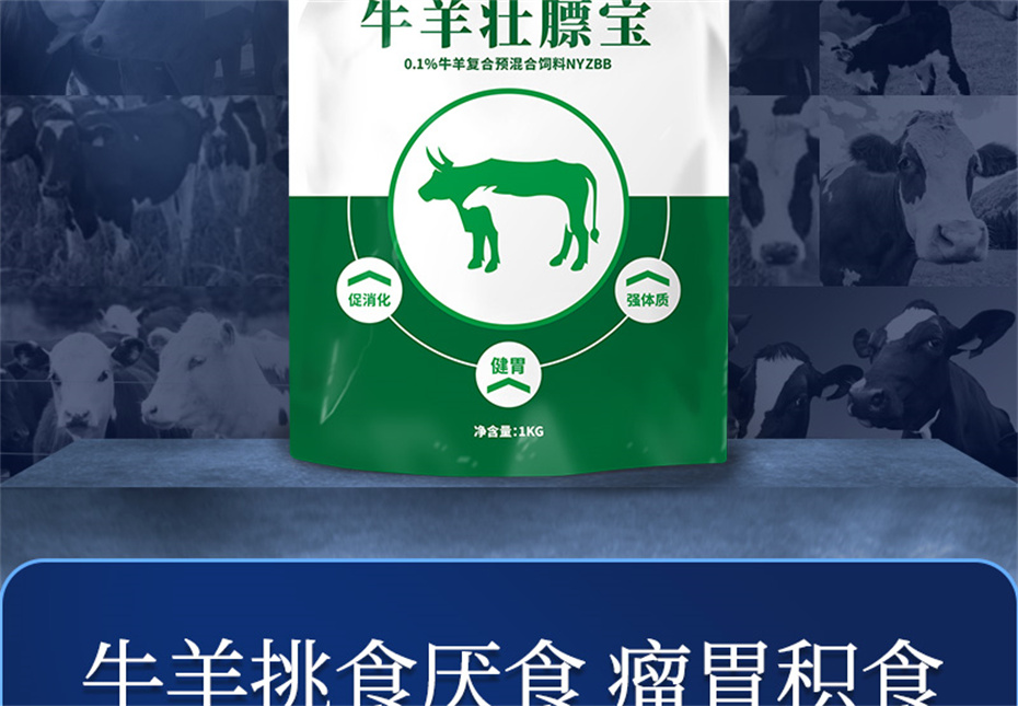 BSPORTSһ˶ţӼţ׳챦Ʒ