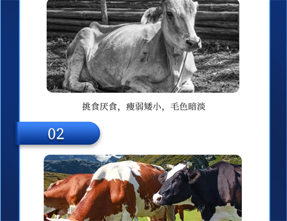 BSPORTSһ˶ţӼţ׳챦Ʒ