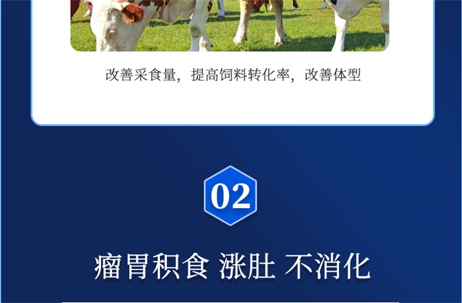 BSPORTSһ˶ţӼţ׳챦Ʒ