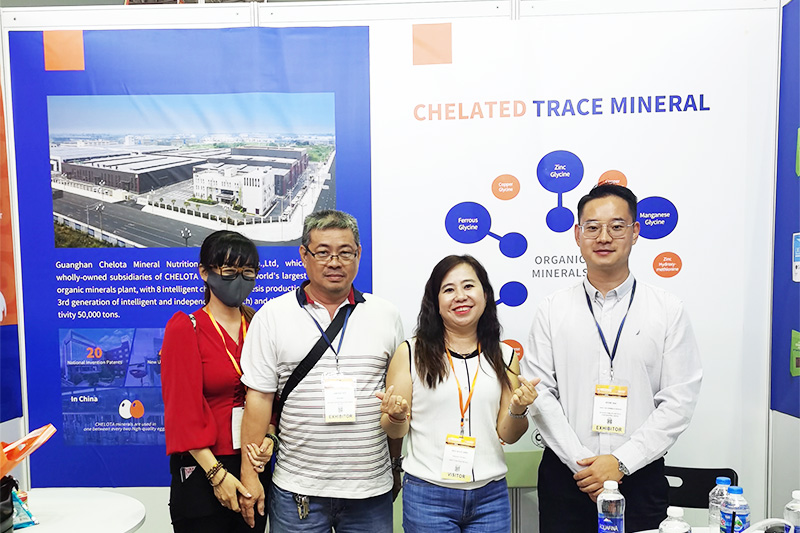 BSPORTSһ˶չԽϹʼչ