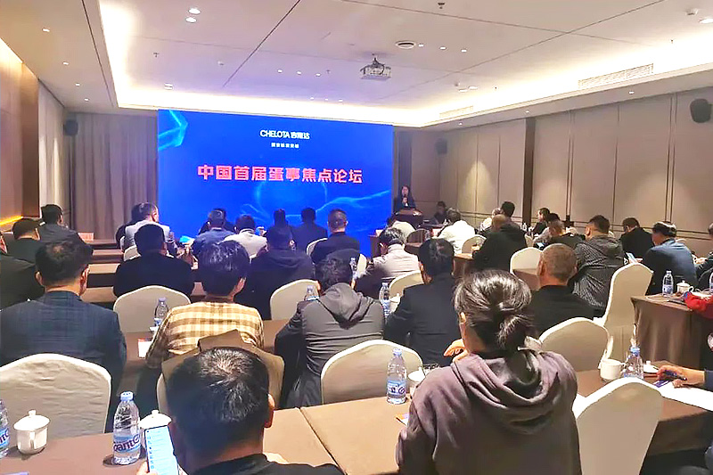 BSPORTSһ˶й׽쵰½̳