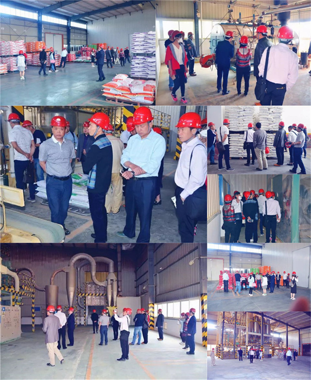 ҵιл΢ԪسBSPORTSһ˶