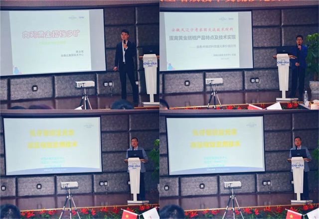 ҵιл΢ԪسBSPORTSһ˶