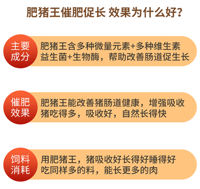 BSPORTSһ˶-ʹЧΪʲô