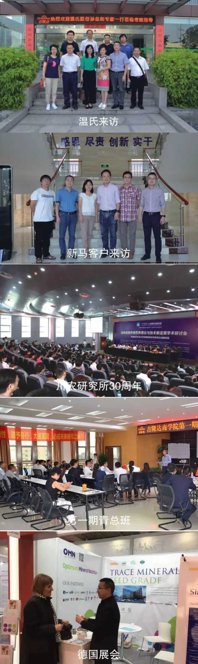 л΢BSPORTSһ˶2016¼