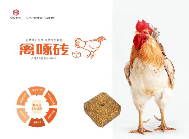 л΢ԪسBSPORTSһ˶ש