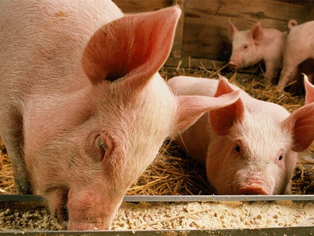 BSPORTSһ˶šк+ε