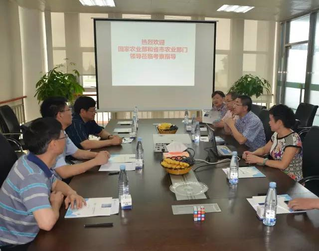 ũҵ쵼ŵBSPORTSһ˶Ųιۿ